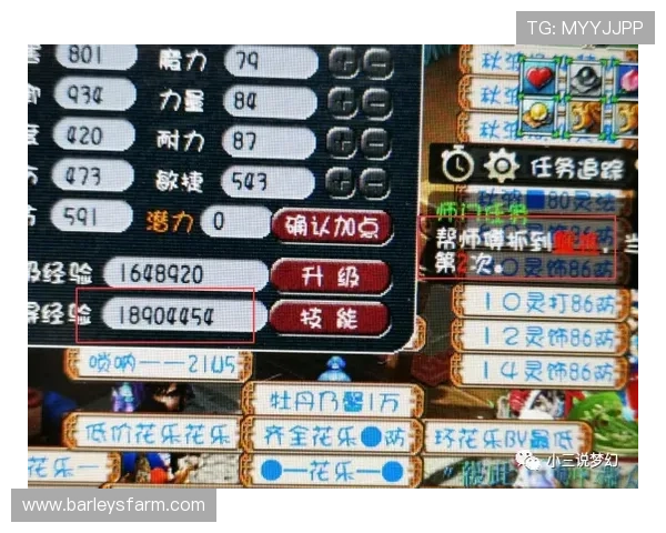 尊龙百家乐：玩家实战心得与提升胜率的实用策略