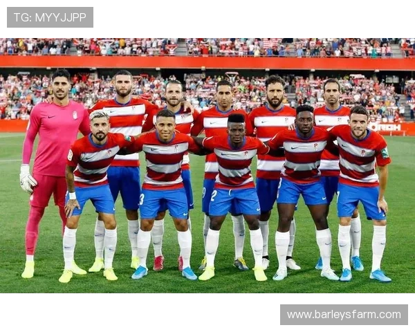 尊龙足球官网带你领略全球足球赛事的精彩瞬间