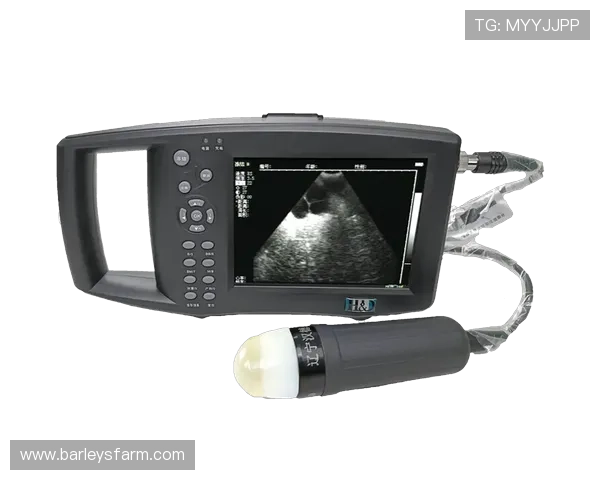 尊龙凯时z6安全登录入口登录流程优化与安全性提升建议