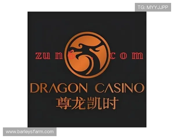 尊龙凯时直营平台拥有丰富的优惠活动，助力玩家轻松赢取更多奖励