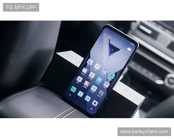 D88尊龙手机版新手入门必看指南帮助玩家快速上手游戏体验