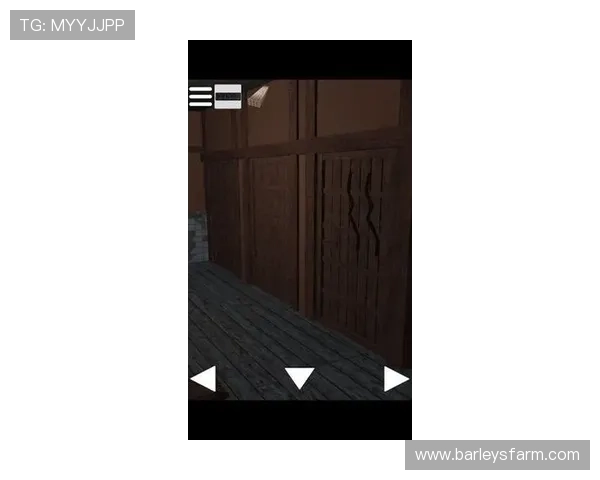 凯时国际站游戏种类全景介绍：多样化游戏玩法满足不同玩家的娱乐需求