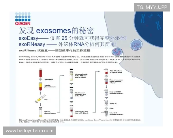 尊龙凯时质谱系统的维护与优化策略，确保科研实验的稳定性与准确性