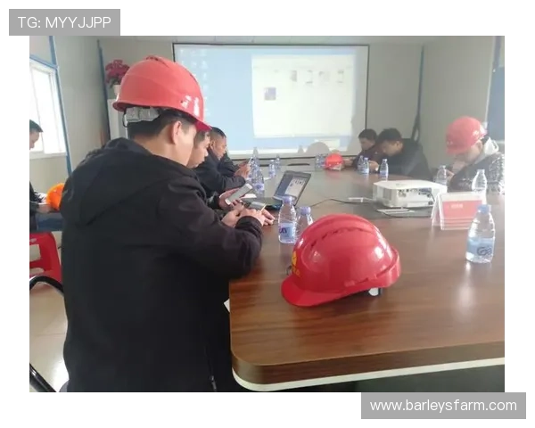 尊龙时凯官方网站入口：详细介绍官方入口的登录流程与安全保障措施