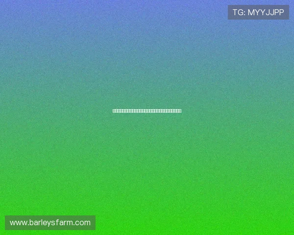 尊龙现金娱乐一下提供多样化游戏选择满足不同玩家的娱乐需求