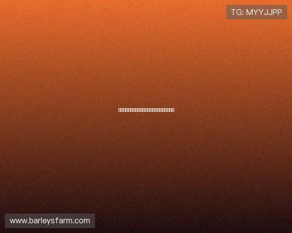 尊龙网赌怎么样优惠活动多吗最新促销优惠政策一览