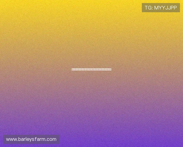 比利时对埃及世界杯比赛现场观赛门票预订流程与注意事项